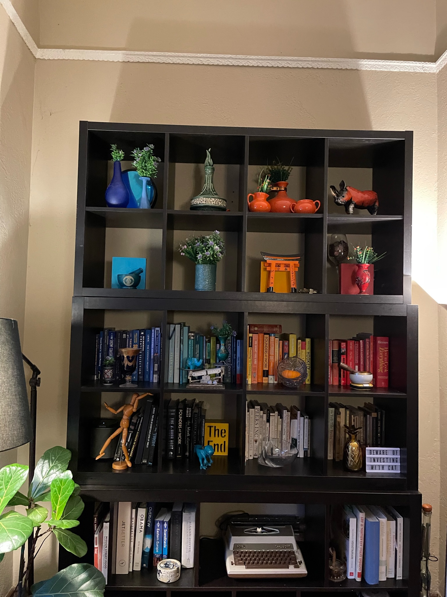 Bookshelf with color-organized books and fiddle leaf fig